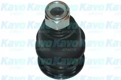 kavoparts-sbj3010