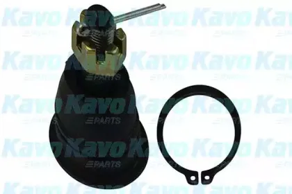 kavoparts-sbj6506