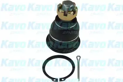 kavoparts-sbj6509