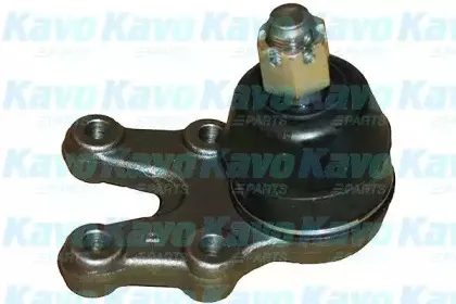 kavoparts-sbj6521