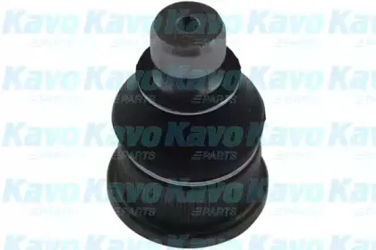 kavoparts-sbj6563