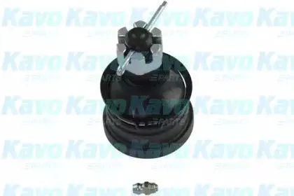 kavoparts-sbj9020