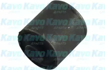 kavoparts-scr2005