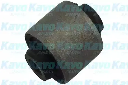 SCR-5507 KAVO PARTS