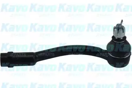 kavoparts-ste2021