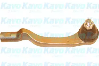 kavoparts-ste2025
