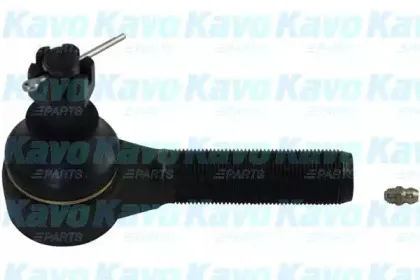 kavoparts-ste6620