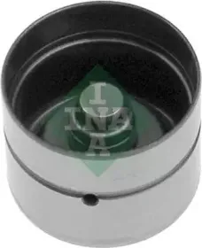 420 0061 10 INA