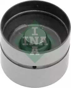 420010210 INA