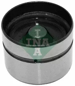 ina-420020810