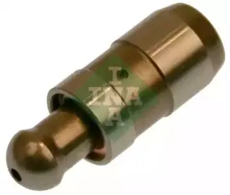 420022110 INA