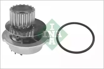 538 0697 10 INA Водяной насос