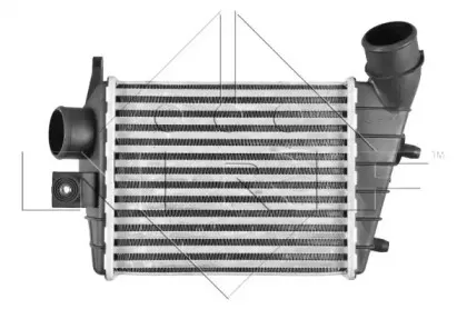 nrf-30123