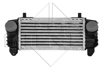 nrf-30248