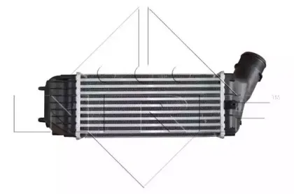 nrf-30283