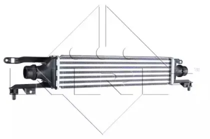 nrf-30779