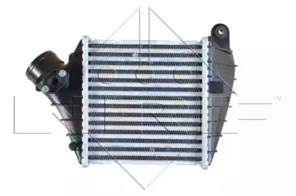 nrf-30848