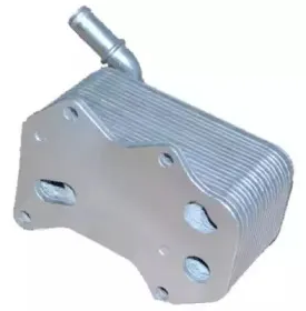 nrf-31172