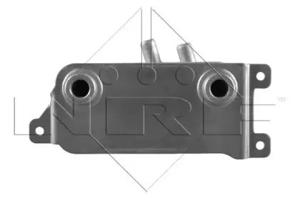 nrf-31191