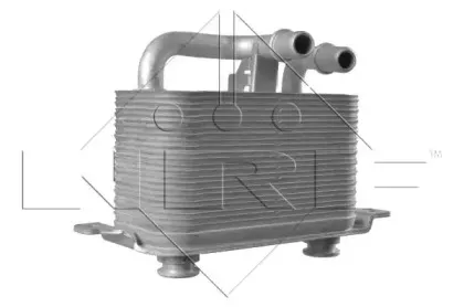 nrf-31191