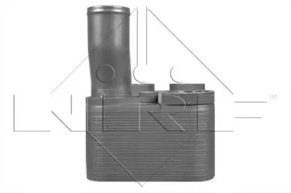 nrf-31230