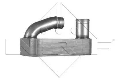 nrf-31245