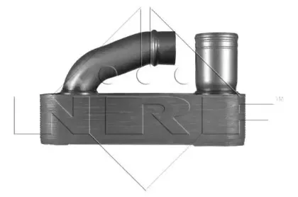 nrf-31245