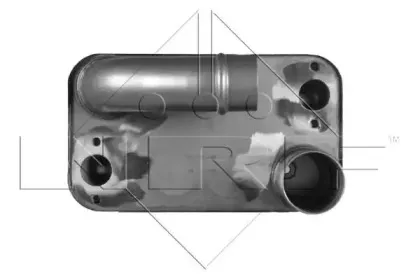 nrf-31245