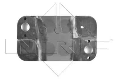 nrf-31245