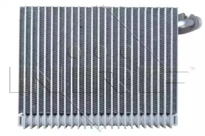 nrf-36077