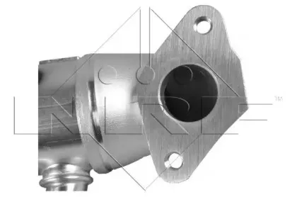 nrf-48005