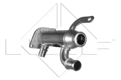 nrf-48006