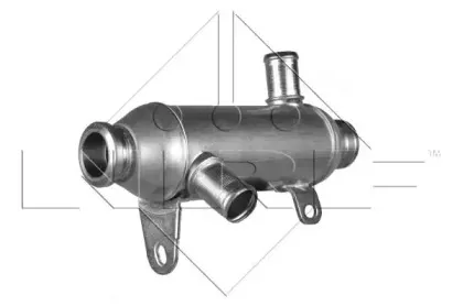 nrf-48007