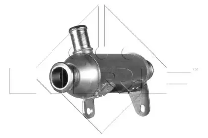 nrf-48007