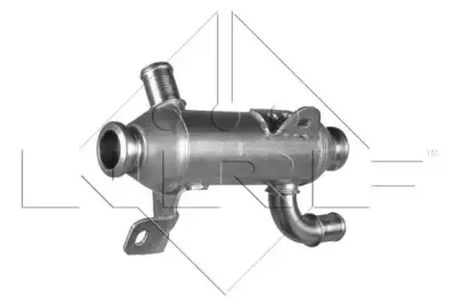 nrf-48008