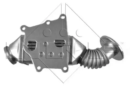 nrf-48019