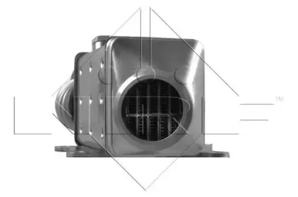 nrf-48019