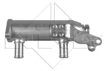 nrf-48020