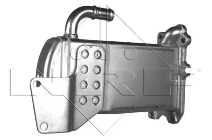 nrf-48119