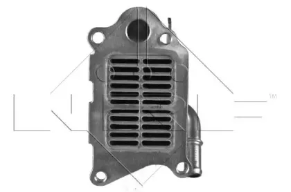 nrf-48120
