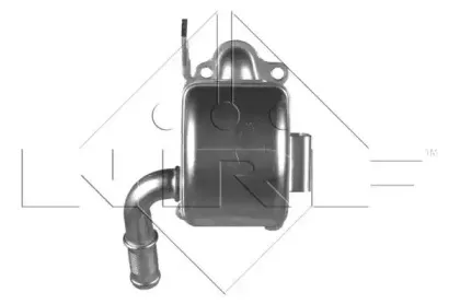 nrf-48120
