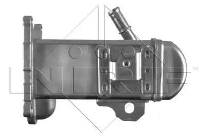 nrf-48120