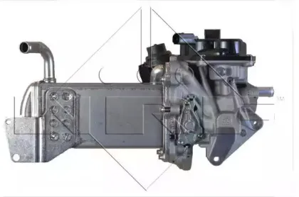 nrf-48201