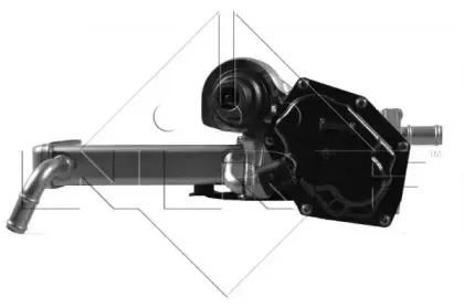 nrf-48201