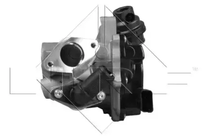 nrf-48206