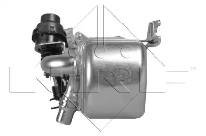 nrf-48206
