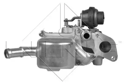nrf-48207