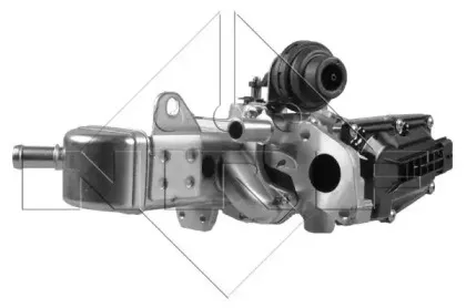 nrf-48207