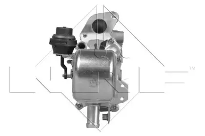 nrf-48208