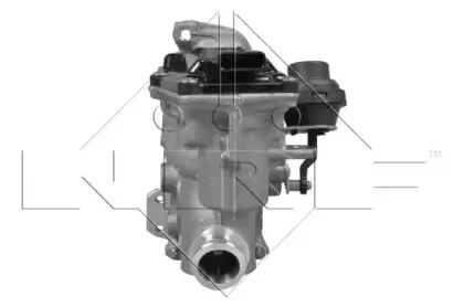nrf-48208